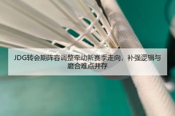 JDG转会期阵容调整牵动新赛季走向，补强逻辑与磨合难点并存